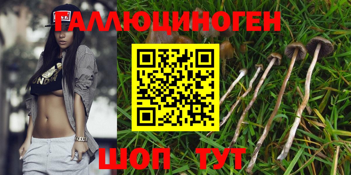 Галлюциногенные грибы GOLDEN TEACHER Бирск