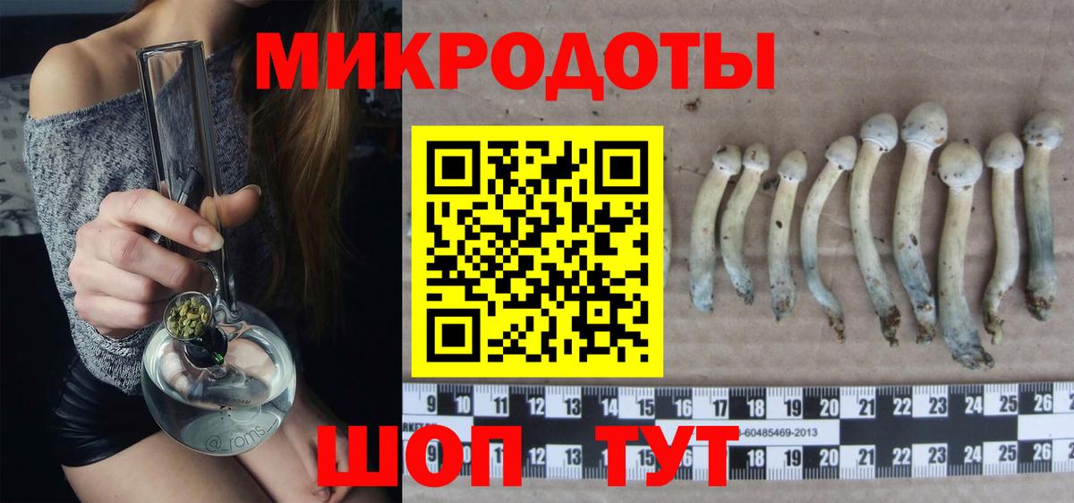Псилоцибиновые грибы Cubensis  Псилоцибиновые грибы MAGIC MUSHROOMS  Бирск  Вход с VPN 